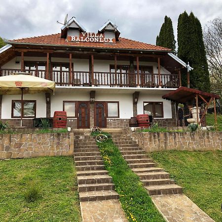 Villa Balconlux - Zavojsko Jezero, Пирот Екстериор снимка