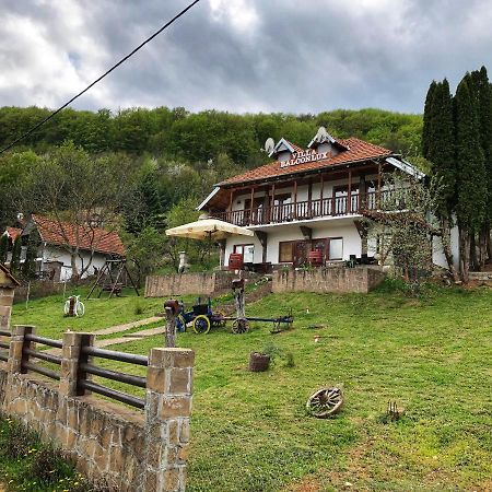Villa Balconlux - Zavojsko Jezero, Пирот Екстериор снимка
