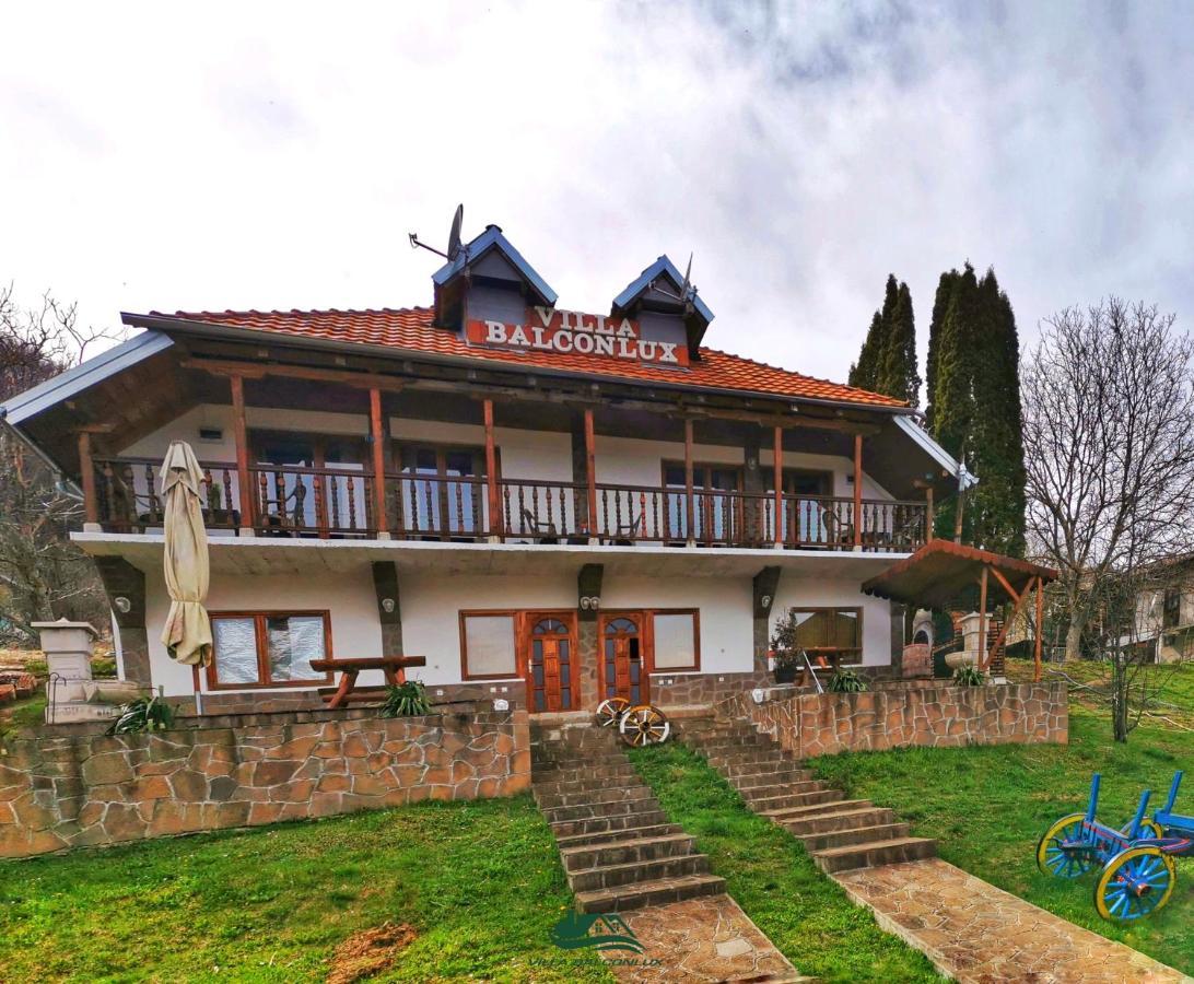 Villa Balconlux - Zavojsko Jezero, Пирот Екстериор снимка