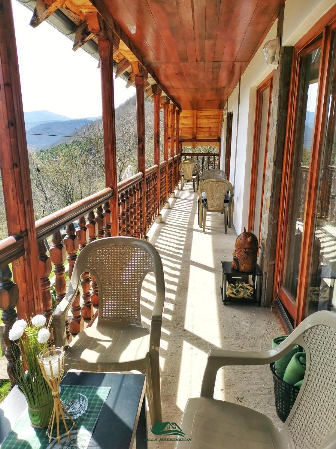 Villa Balconlux - Zavojsko Jezero, Пирот Екстериор снимка