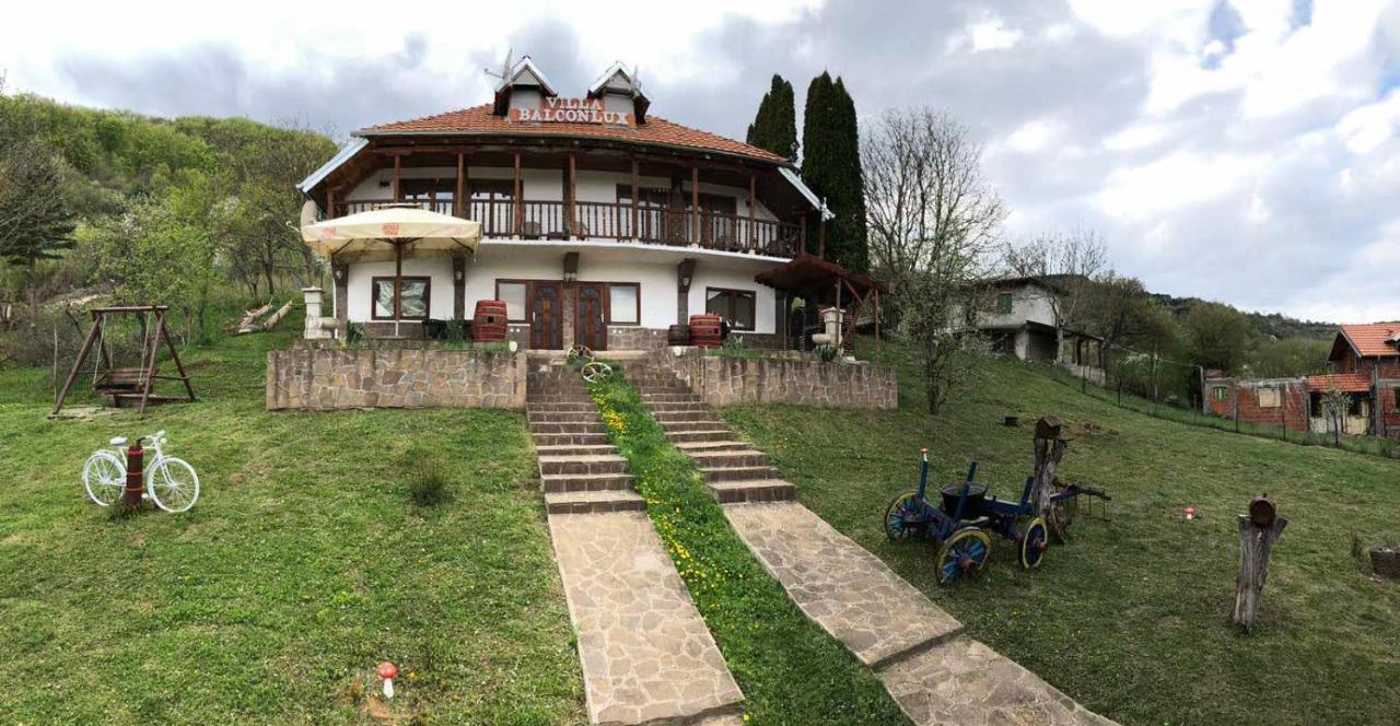 Villa Balconlux - Zavojsko Jezero, Пирот Екстериор снимка