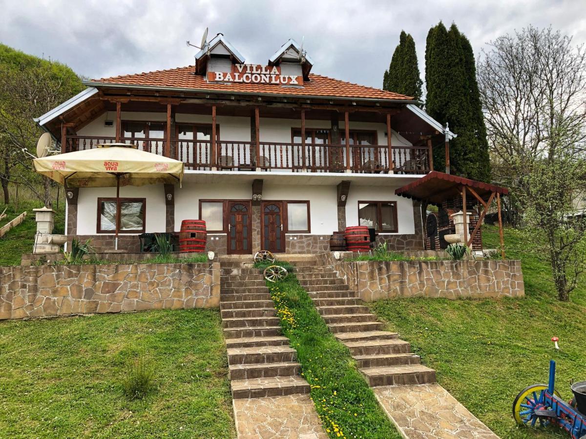 Villa Balconlux - Zavojsko Jezero, Пирот Екстериор снимка