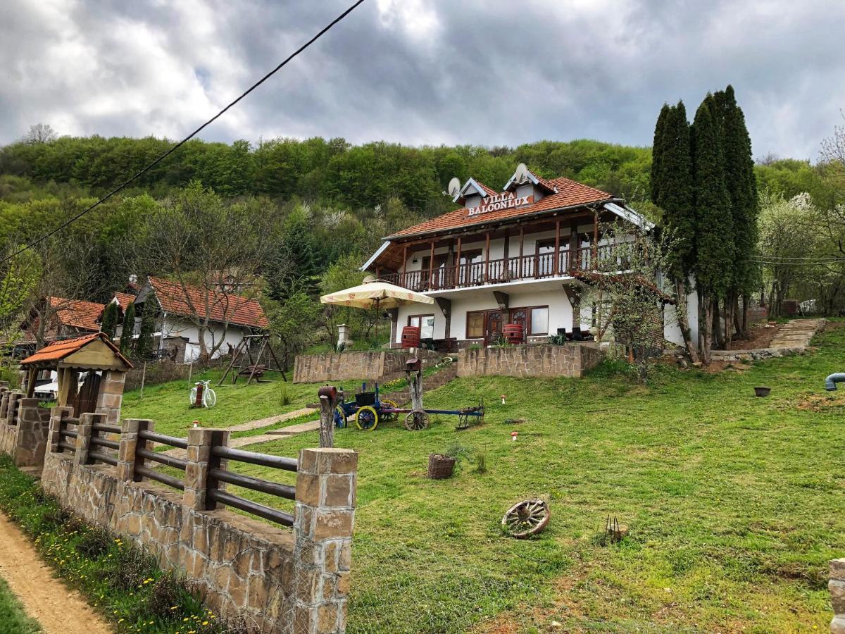 Villa Balconlux - Zavojsko Jezero, Пирот Екстериор снимка